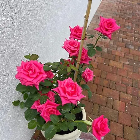 B&B La Perla Del Mare 2