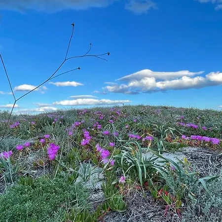La Perla Del Mare 2 B&B *