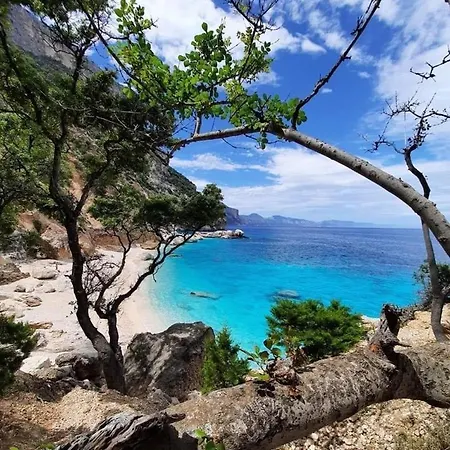 La Perla Del Mare 2 라 칼레타