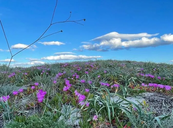 La Perla Del Mare 2 Bed & Breakfast *