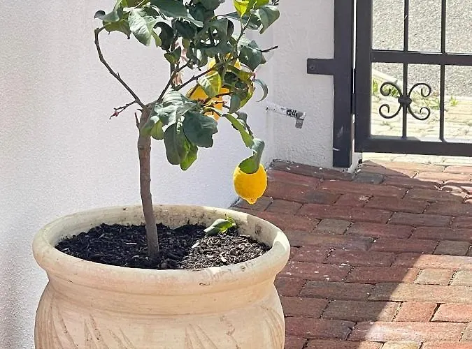 Bed & Breakfast La Perla Del Mare 2 La Caletta